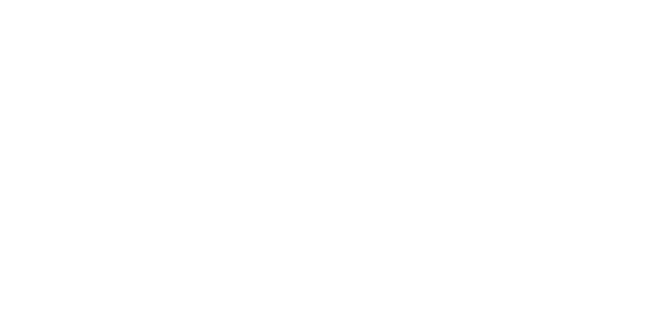 넷엔터테인먼트 logo